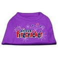 thumbnail image 1 of Little Firecracker Screen Print Shirts Purple XXL (18), 1 of 2