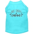 thumbnail image 1 of Pet Dog  Cat Shirt Screen Printed, "Not Today Satan", 1 of 10