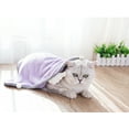 thumbnail image 1 of Pet Dog Cat Towel Puppy Cartoon Bath Towel Multifunction Absorbent Large Bathrobe Warm Blanket, Pueple, Mediumm, 1 of 1