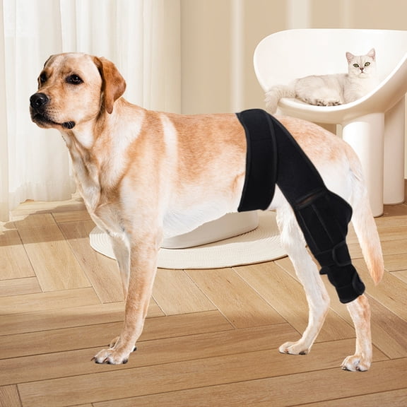 Pet Dog Knee Brace Anti-Wear Support, Leg Joint Fracture Fixer with Stiffening Strips for Injury Care, XL