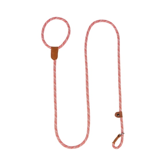 Pet Dog Leash, Training Leash With Anti-Lost Design, 1Pc For Daily Walking & Training