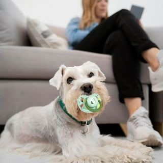 Dog Pacifier