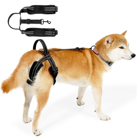 Pet Dog Support Harness Rear Lifting Harness for Back Legs Reflective Dog Sling Vet for Old Helps with Poor Stability Hind Legs, Joint Injuries Elderly Arthritis Rehab BlackL