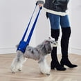 thumbnail image 1 of Pet Dog Support Harness Rear Support Lifting Harness - Padded Lifting Aid with Leash for Comfort Control to Assist Old/Disabled Pets - Comfortable, Breathable Material - Easy to Adjust, 1 of 7