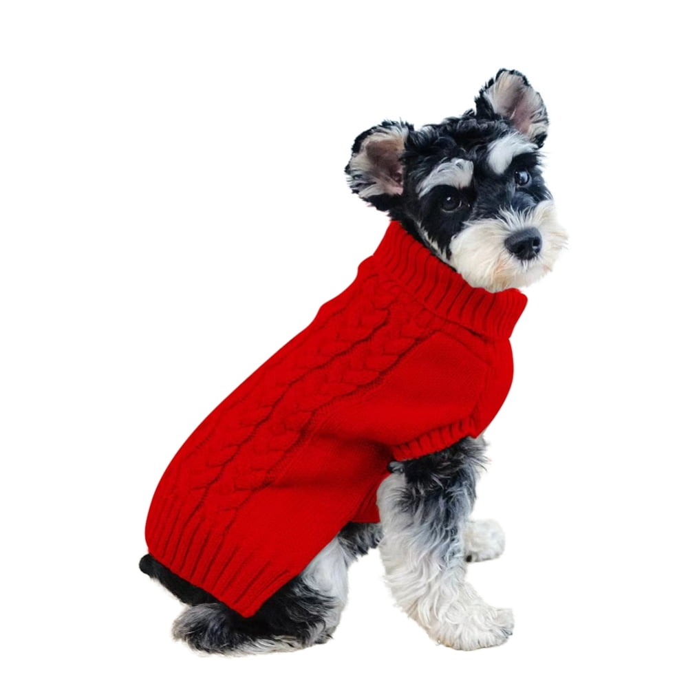 Schnauzer Puppy Snowsuit Matching Pjs With Dog Dog Cold Weather