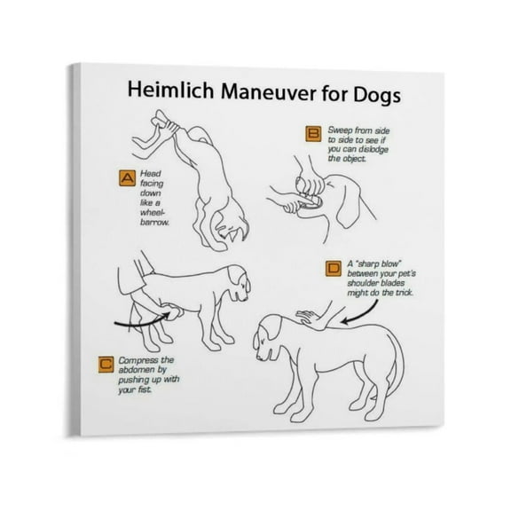Pet Dog Using Heimlich First Aid Poster Animal Hospital Science Poster  Canvas Art Wall Poster Printing Office Bedroom Aesthetic Poster