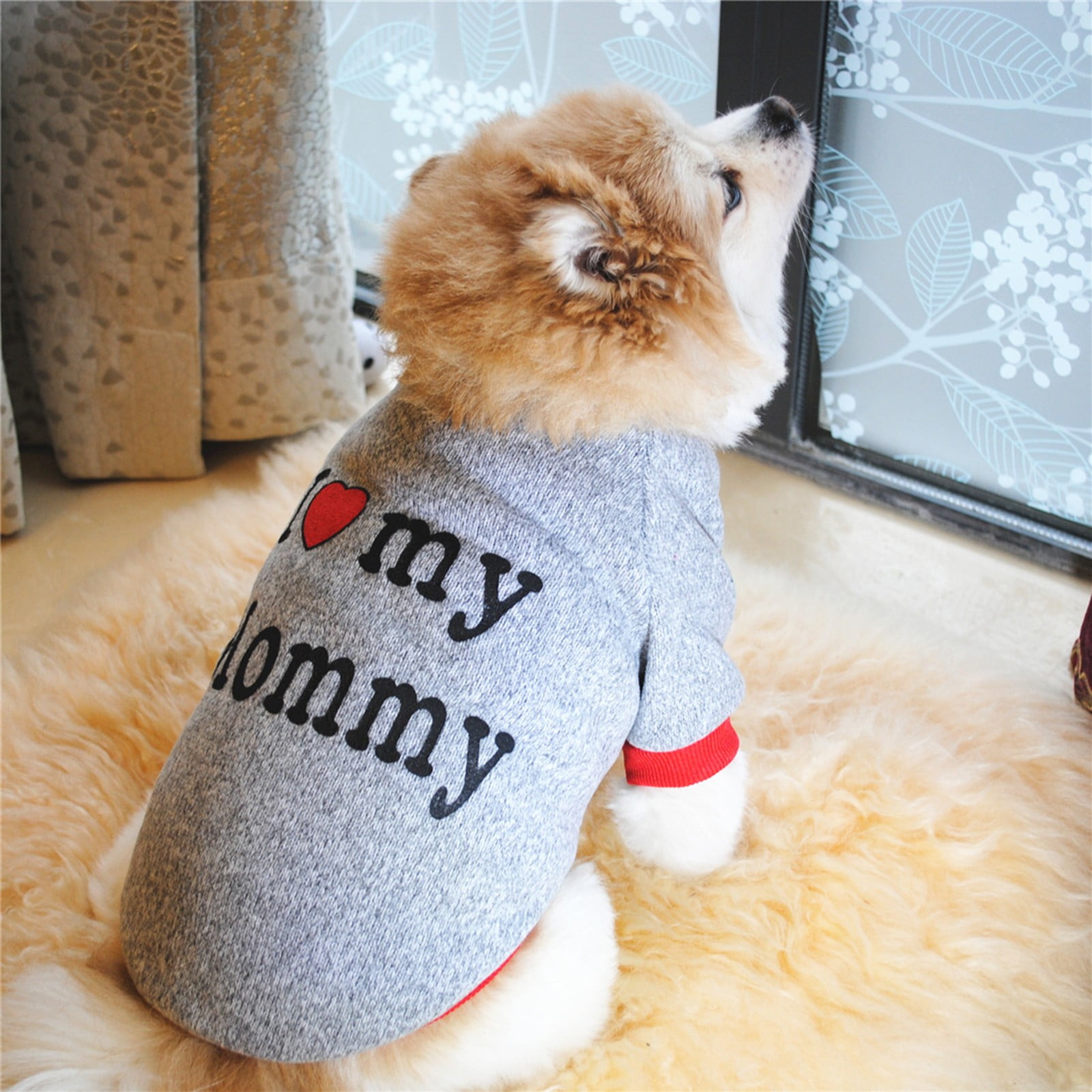 Pet Dog Winter Warm Raglan Sleeve Sweater For Small Medium Dogs Pet