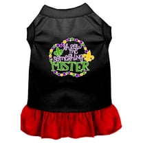 Pet Dog and Cat Dress Screen Printed, "Throw Me Something Mister"
