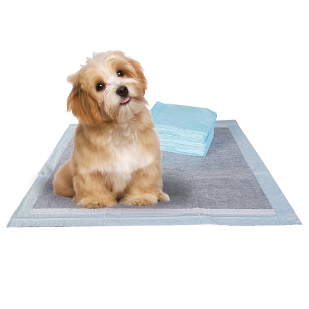 Pet Dog and Puppy Pee Pads, Charcoal Training Pads, Disposible Potty Pads, Regular 22" x 22
