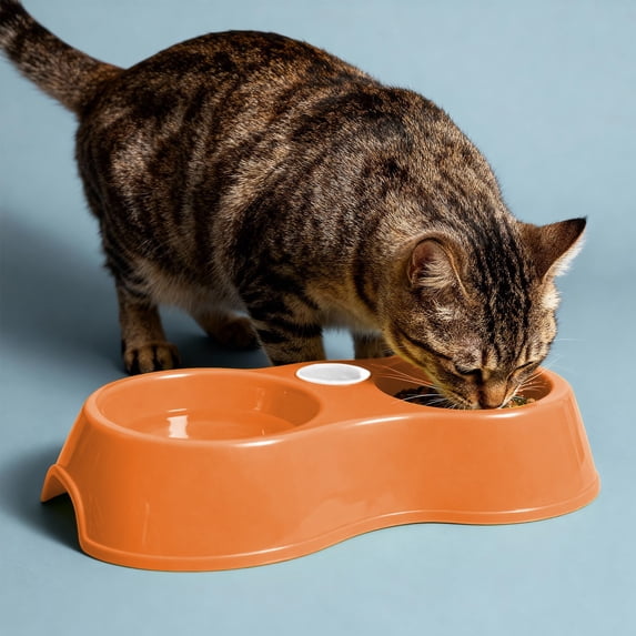 Pet Double Bowl for Dogs and Cats, Non-Slip Plastic Food and Water Dish, 1-Piece Set, Small Oval Design for Travel and Home Use