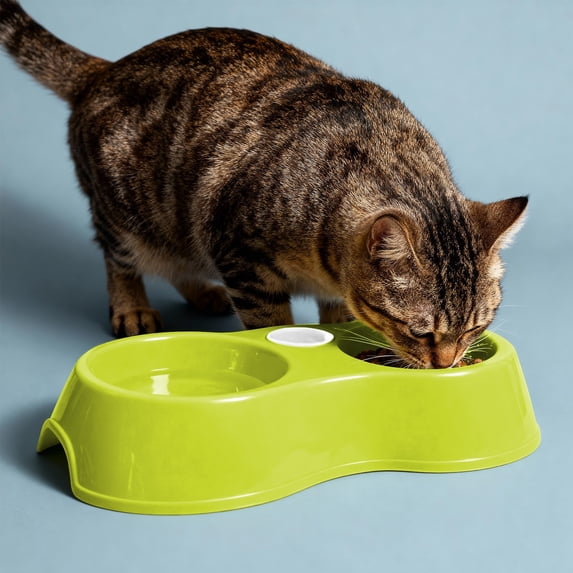 Pet Double Bowl for Dogs and Cats, Non-Slip Plastic Food and Water Dish, 1-Piece Set, Small Oval Design for Travel and Home Use