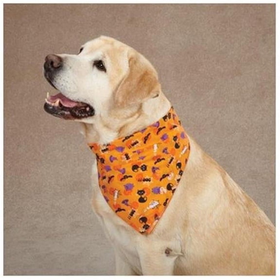 Pet Edge DT3862 69 Aria Spooky Bandana
