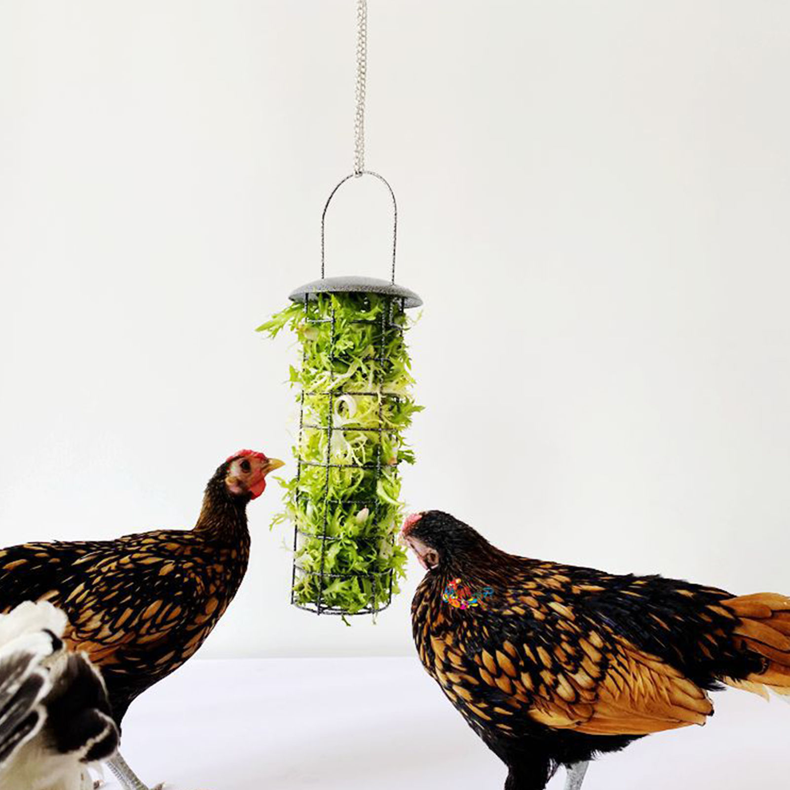 Pet Enjoy Chicken Treat Basket,Chicken Bird Vegetable Feeder Veggie