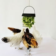 Pet Enjoy Creative Chicken Treat Holder,Chicken Pigeon Vegetable Feeder Veggie Hanging Basket Toy,Portable Fruit Holder for Hens Chicken Hanging Foraging Coop Toys