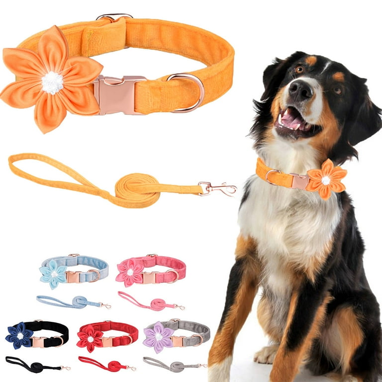Pretty girl dog collars sales