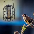 thumbnail image 1 of Pet Enjoy Hanging Iron Cage Bird Feeder,Squirrel Proof Bird Feeders for Outside Hanging,Premium Grade Black Grid Tube WildBird Feeder for Garden Outdoor, 1 of 8