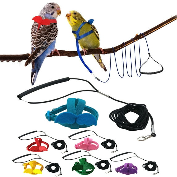 Pet Enjoy Pet Parrot Bird Harness Leash,Adjustable Bird Flying Harness,traction Rope with Cute Wing for Parrots Pigeons Outdoor Training Toy