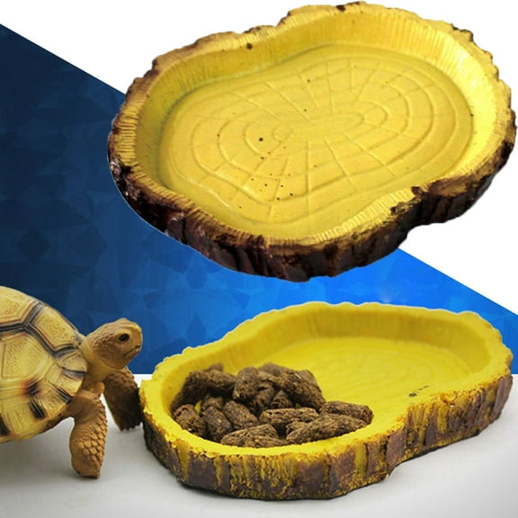 Pet Enjoy Reptile Food Bowls - Healthy Durable Reptile Water and Food Bowls, Novelty Food Bowl for Lizards Young Bearded Dragons Small Snakes - Made from Non-Toxic Resin