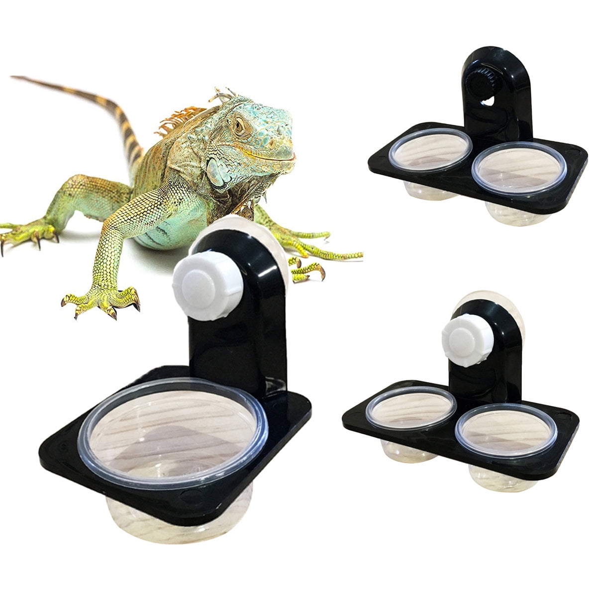 Pet Enjoy Reptile Food Dish Bowl,Worm Water Dish Lizard Gecko Plastic ...