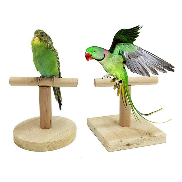 Pet Enjoy Wooden Bird Training Stand,Tshaped Stand Perch Portable