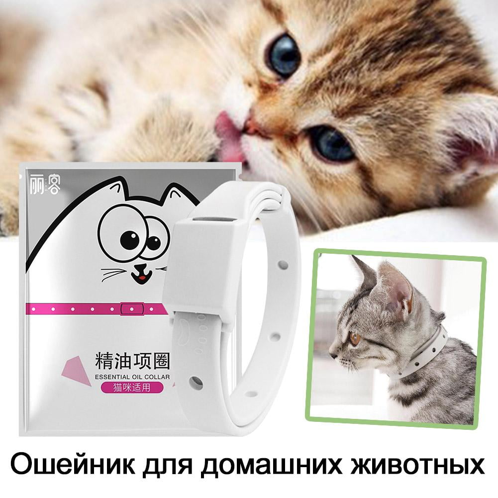 Curated visual reference: Fresh Look at Pet Essential Oil Collar For Mosquito Insect Repellent Dog Cat