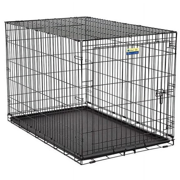 Pet Essentials 8951659 26 x 24 x 36 in. Medium Steel Dog Crate, Black