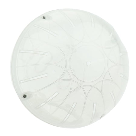 Pet Exercise Ball Hamster Mouse Running-White
