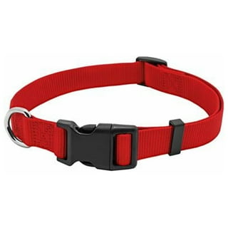 Puppy collars walmart hotsell