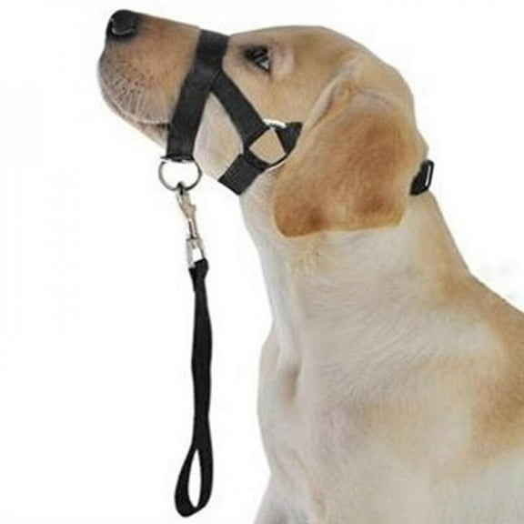 Pet Explosion-proof Pet Training Mouth Rope Dog Leash Traction Rope Hyena Rope Collars Chest Strap Harnesses