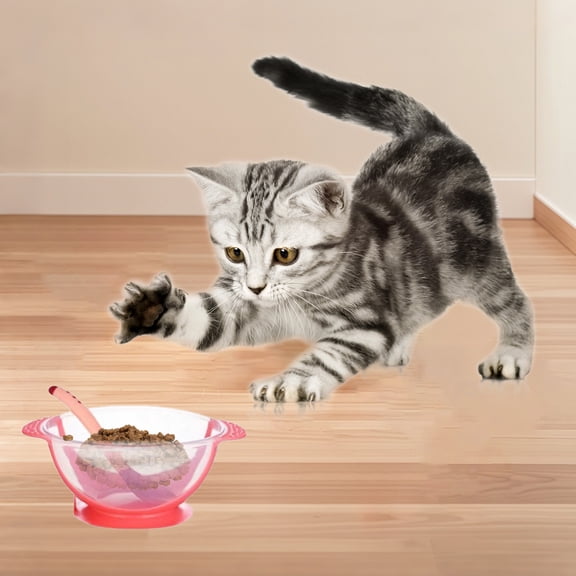 Pet Feeding Bowl For Dogs And Cats Durable Plate With Handles Non Base For Puppies And Water Food Dishes