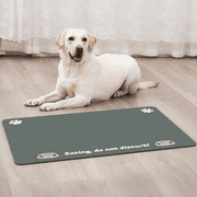 WALL QMER Large Pet Food Mat, Big Size(16"x24") Absorbent Dog Mat for Water Bowl and Food, Non-Slip Easy Clean Dog Food Mat, Quick Dry Dog Water Dispenser Mat, Dog Accessories Dog Bowl Mat, Dark Gray
