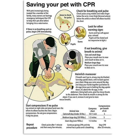 Pet First Aid Knowledge Metal Signs Vintage Saving Your Pet With Cpr Guide Retro Posters Pet Shop Pet Owners Home Clinic Pet Hospital Wall Art