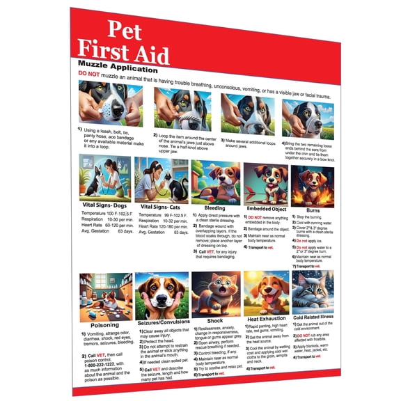 Pet First Aid Reference Chart For Dogs And Cats Poster