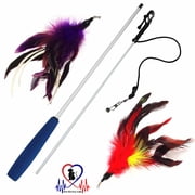 PET FIT for Life 2 Feather Wand CAT Toy, RED and Purple