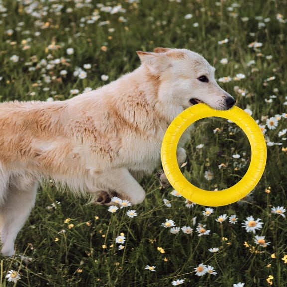 Pet Flying Ring Eco-friendly Wear Resistant EVA Interactive Outdoor Dog Training Ring for Puppy