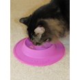 Pet Food And Water Bowl For Cats, Toy Breed Dogs, Bearded Dragons