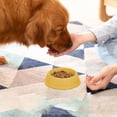 thumbnail image 1 of Pet Food Bowl for Cats Dogs-Thickened Plastic Non-Slip Double Bowl Set for Pets, 1 of 1