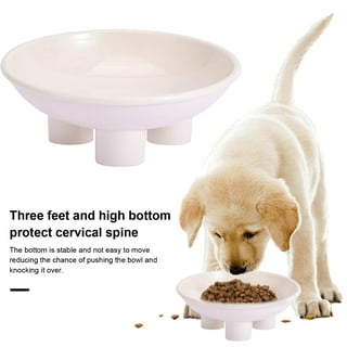 Glad for Pets Disposable Feeding Bowls (3.5 cup size / 25 Count) – Fetch  for Pets