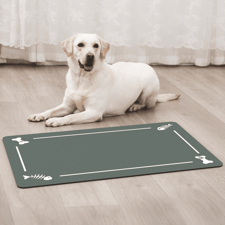 WALL QMER Pet Food Mat Big Size 16 x24 Absorbent Dog Mat for Water Bowl and Food Non Slip Easy Clean Dog Food Mat Quick Dry Dog Water Dispenser