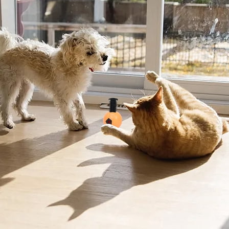 Pet Football Toy for Dogs TPR Rubber Chew Mace Interactive Play Gnawing Teeth Cleaning