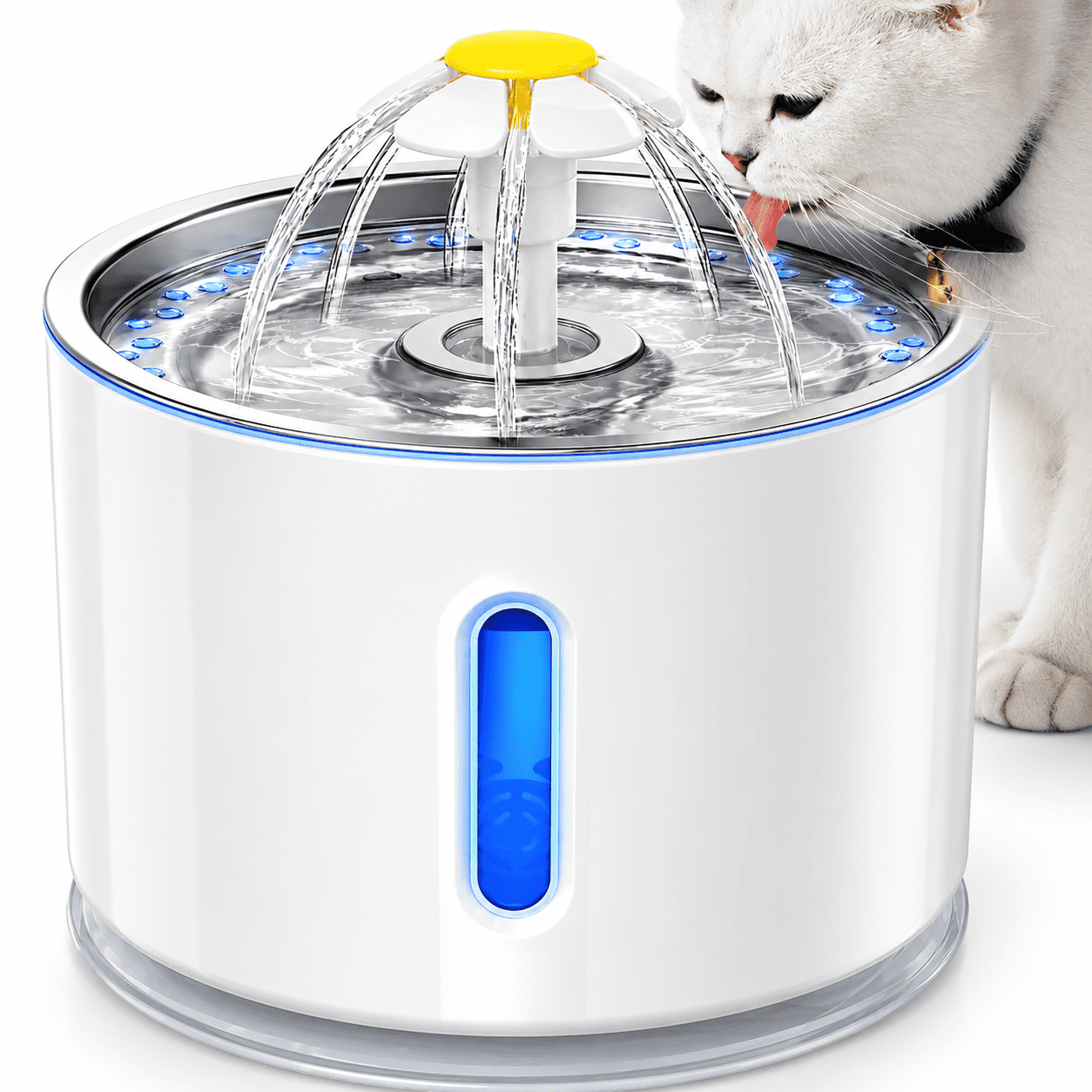 Qunler Cat Water Fountain, 80oz Automatic Pet Drinking Fountain
