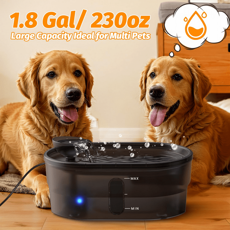 Big dog water fountain filters hot sale