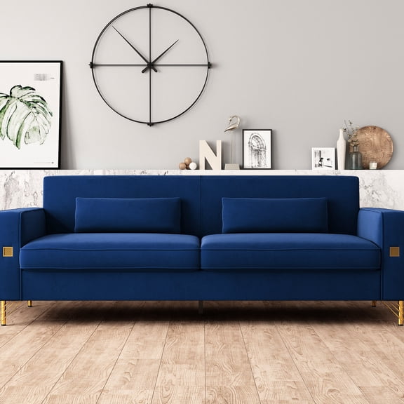 Pet-Friendly Sofa with Removable Cushions / Great for Family Use