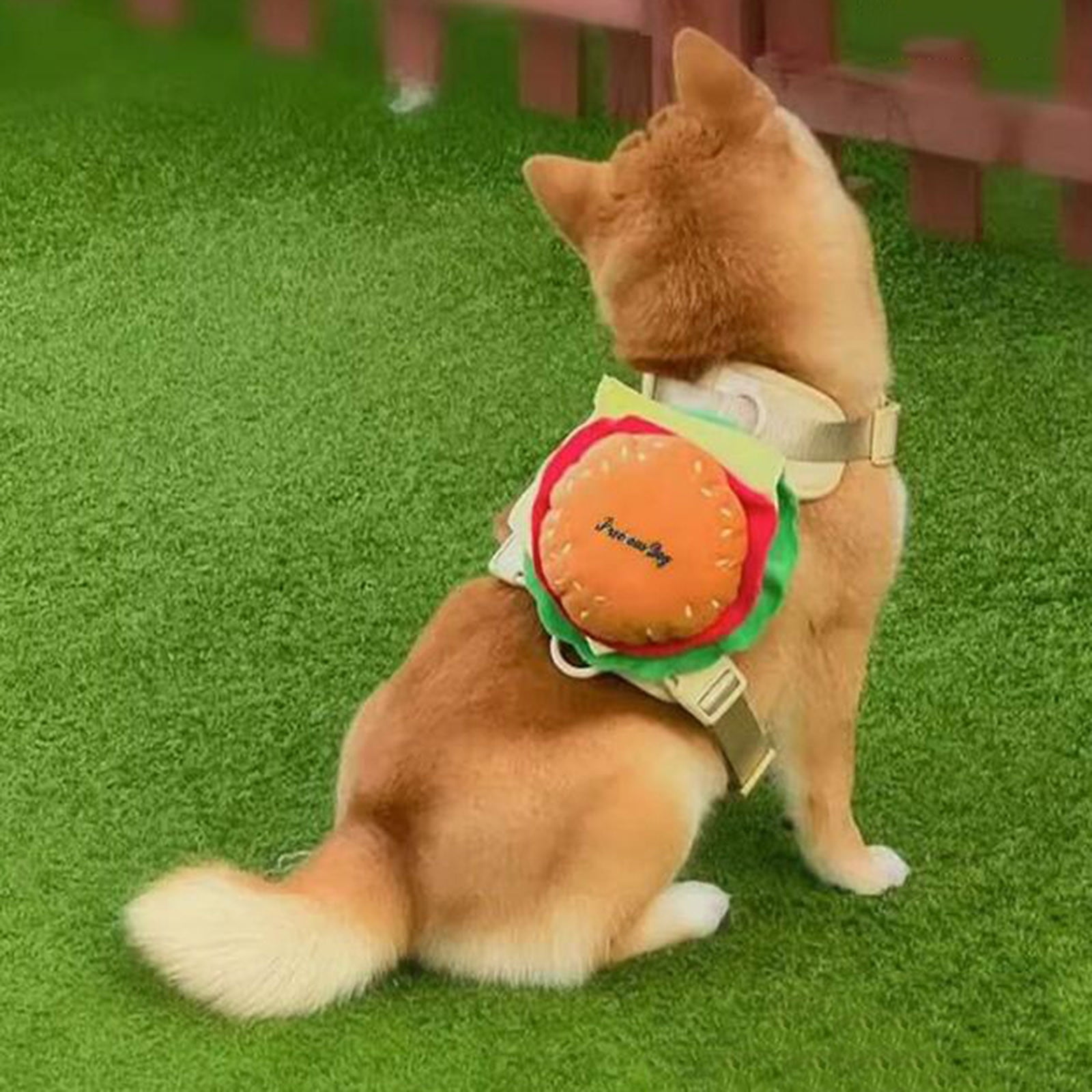 Pet From Backpack Leash Small And Medium Sized Dog Vest Chest Strap Cat