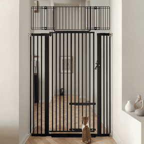 Cat Gate