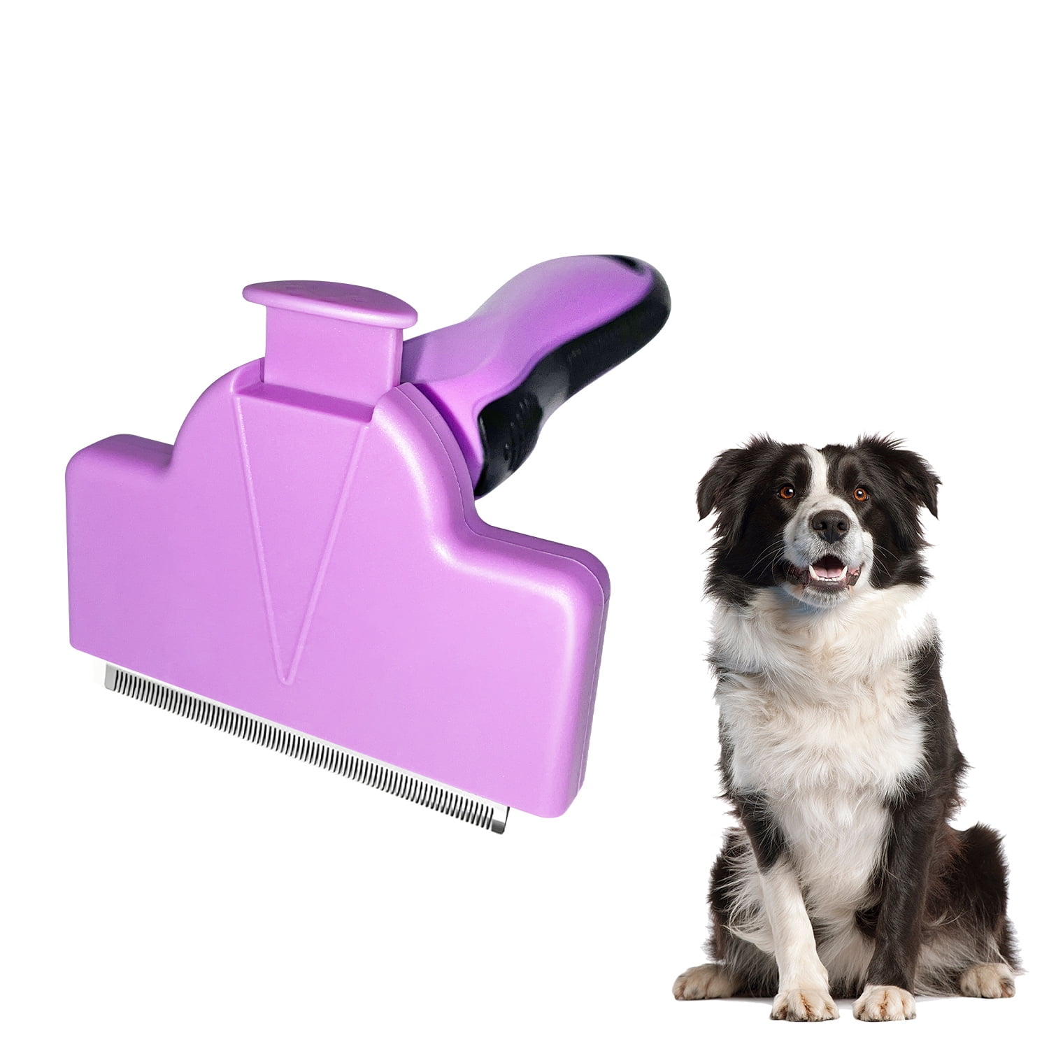 Brush For Australian Shepherd 3d mon