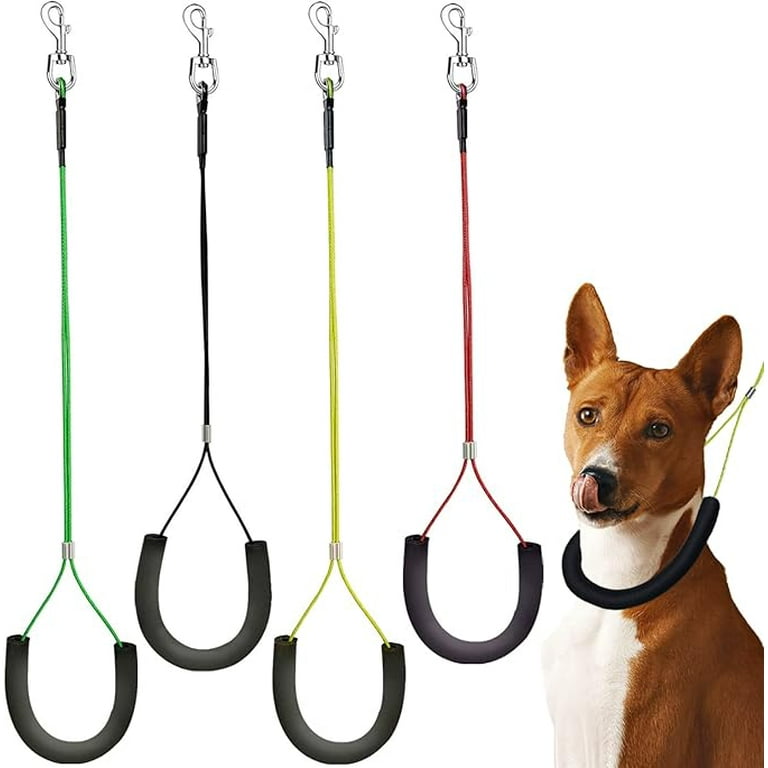 Grooming leash for dogs 2025