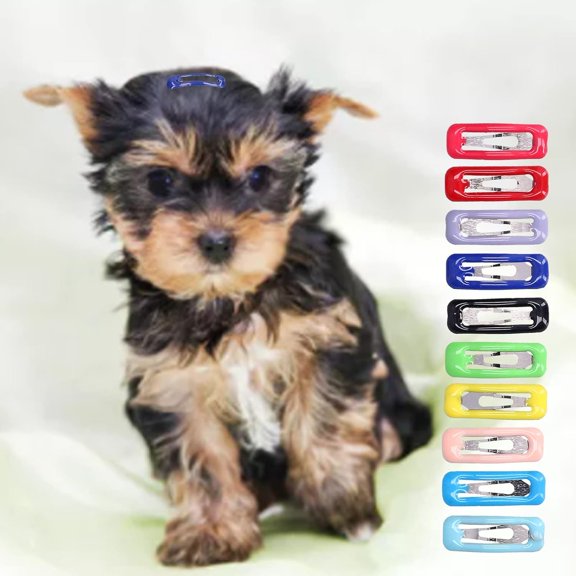 Pet Hair Clips, Barrettes, Grooming Colored Hairpin Metal Snap Hair Clips