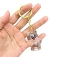 thumbnail image 1 of Pet Hair Collection Pendant Acrylic Keychain Handmade Fur Keepsake Pet Bag Capsule Pendant, 1 of 1