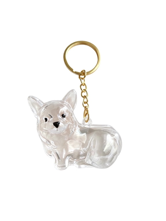 Pet Hair Collector Keychain, Transparent Storage Pendant for Dogs Cats, DIY Pet Keepsake Locket Holder, Memorial Jewelry Gift for Pet Lovers, Small Cute Bottle Key Ring Charm 3.5Inch